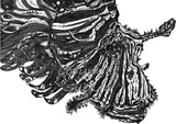 Lion Fish - Alun the Lionfish