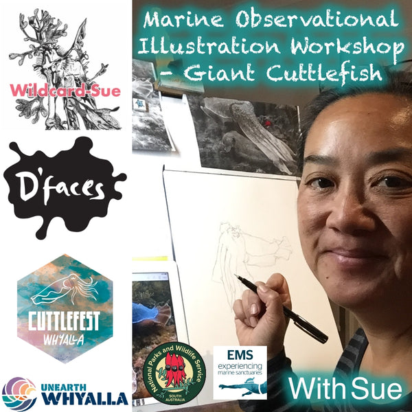 Illustration & Marine Discovery- Giant Cuttlefish - Whyalla  with D'Faces 27 June - Adults