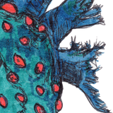 Nudibranch - Gardo the Nudibranch