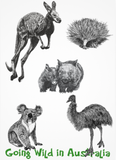 Postcards - A6