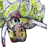 Nudibranch - Shaun the Sheep the Nudibranch