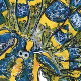 Nudibranch - Sven the Swedish Shaun the Sheep the Nudibranch