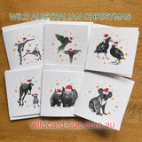 Christmas Cards - Square and A6