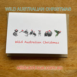 Christmas Cards - Square and A6