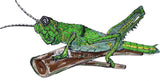 Grasshopper - Wayne the Grasshopper