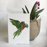 Rainbow Lorikeet card - Alina the Lorikeet