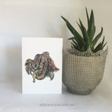 Cuttlefish card - Mr Sparkles the Cuttlefish