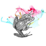 Frog - Vonny the Frog -SPLASHY