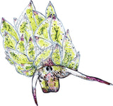 Nudibranch - Shaun the Sheep the Nudibranch