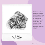 Wombat - Willie the Wombat