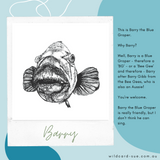 Blue Groper - Barry the Blue Groper
