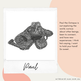 Octopus - Paul the Octopus