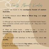 Koala - Mumma Lee and Fraser the Koala