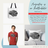 Octopus - Augustus the Octopus