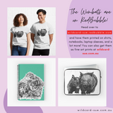 Wombat - Willie the Wombat