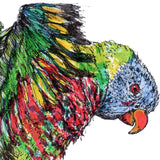 Rainbow Lorikeet - Alina the Rainbow Lorikeet