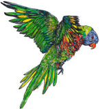 Rainbow Lorikeet card - Alina the Lorikeet