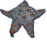 Sea Star - Astro the Sea Star