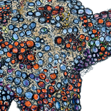 Sea Star - Astro the Sea Star