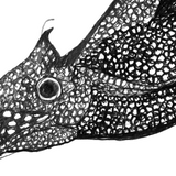 Weedy Seadragon - Barbara the Weedy Seadragon