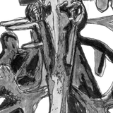 Leafy Sea Dragon - Belinda the Leafy Sea Dragon