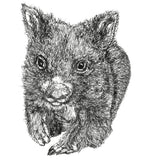 Wombat - Bill the Baby Wombat