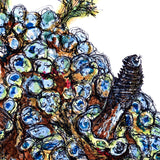 Nudibranch - Chokkie the Nudibranch