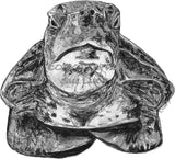 Turtle - Cliff the Turtle