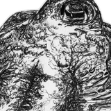 Cuttlefish - Cuddles the Cuttlefish