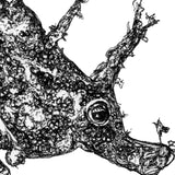 Seahorse - Dave the Seahorse
