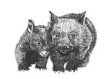 Wombat - David and Betty Wombat