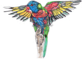Rainbow Lorikeet - Delilah the Rainbow Lorikeet