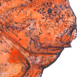 Red Indian Fish - Donald the Red Indian Fish