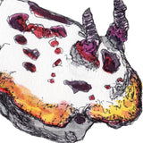 Nudibranch -Doris the Splendid Nudibranch