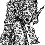 Seahorse - Fabio the Seahorse