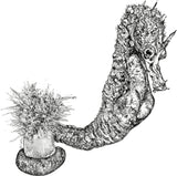 Seahorse - Fabio the Seahorse