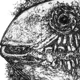 Blenny Fish - Gaetana La Blenny