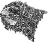 Blenny Fish - Gaetana La Blenny