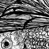 Fighting Fish -Gloria the Fighting Fish
