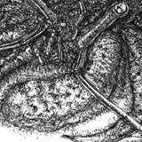 Hermit Crab - Herman the Crab