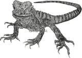 Water Dragon - Kenneth the Water Dragon