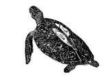 Turtle - Lucy the Turtle