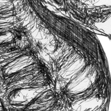Seahorse - Martin the Seahorse