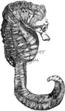 Seahorse - Martin the Seahorse