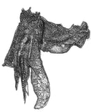 Cuttlefish - Mathew the Giant Cuttlefish