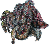 Cuttlefish - Mr Sparkles the Cuttlefish