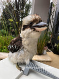 Kookaburra - Mu Mu the Kookaburra