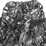 Octopus - Paul the Octopus