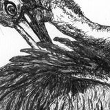 Pelican - Percephone the Pelican