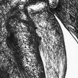 Penguin - Peter the Penguin